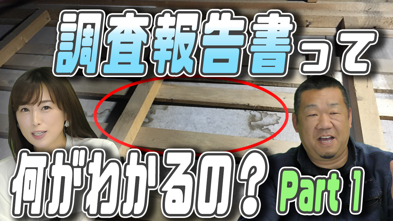 調査報告書って何がわかるの? part1