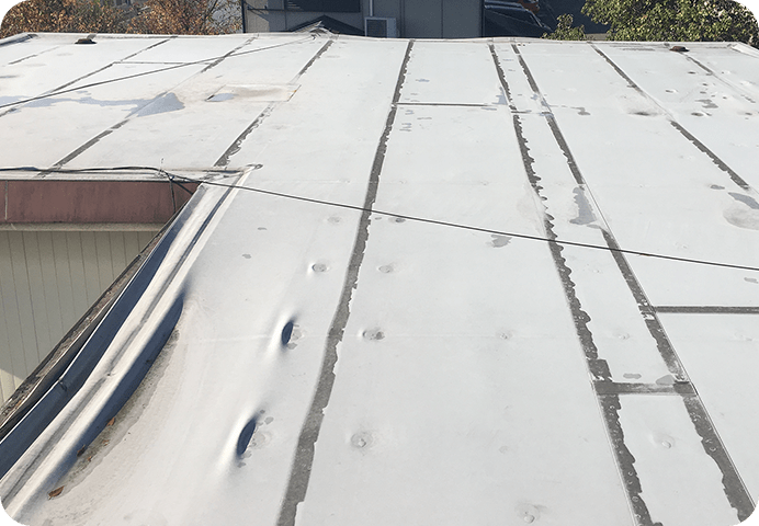 雨どいの状況確認
